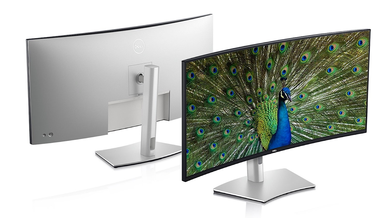 dell 5k2k monitor